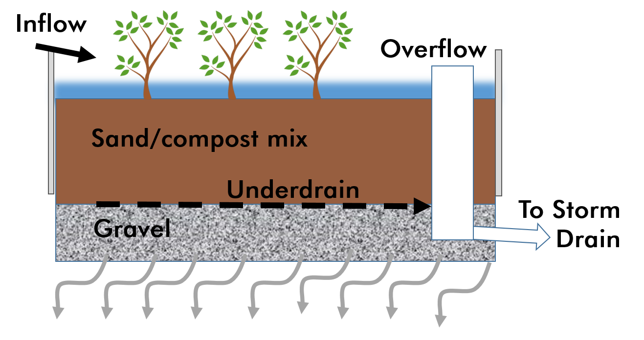 Green Infrastructure Illustrative cross-section of Bioretention Facility 